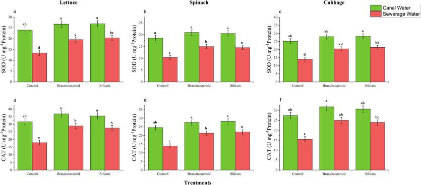 Foliar effect of BRs and Si on superoxide dismutase (SOD) and catalase activity (CAT) of leafy vegetables irrigated with canal and sewage water. Means sharing same letter (s) do not differ significantly at p ≤ 0.05.