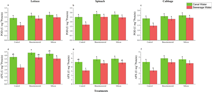 Foliar effect of BRs and Si on peroxidase dismutase (POD) and ascorbate peroxidase (APX) activity of leafy vegetables irrigated with canal and sewage water. Means sharing same letter (s) do not differ significantly at p ≤ 0.05.