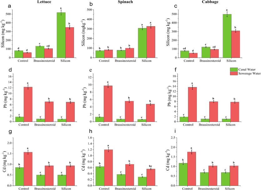 Foliar effect of BRs and Si on Si, Pb and Cd concentration of leafy vegetables irrigated with canal and sewage water. Means sharing same letter (s) do not differ significantly at p ≤ 0.05.