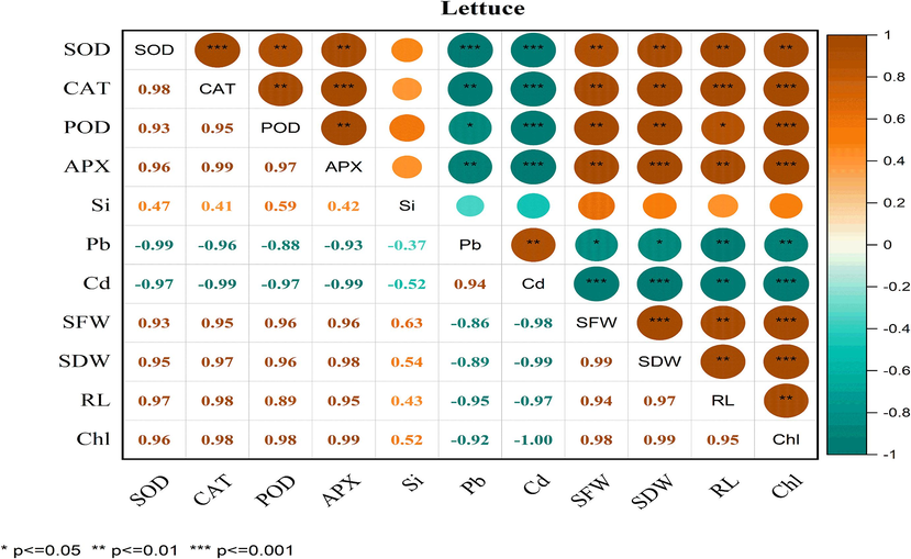 Correlation between antioxidant enzymatic activities, growth parameters and metal concentration in lettuce. Superoxide dismutase (SOD), catalase (CAT) peroxidase (POD), Ascorbate peroxidase (APX), Si (silicon), Pb (lead), Cd (cadmium), SFW (shoot fresh weight), SDW (shoot dry weight), RL (root length) and Chl (chlorophyll contents).