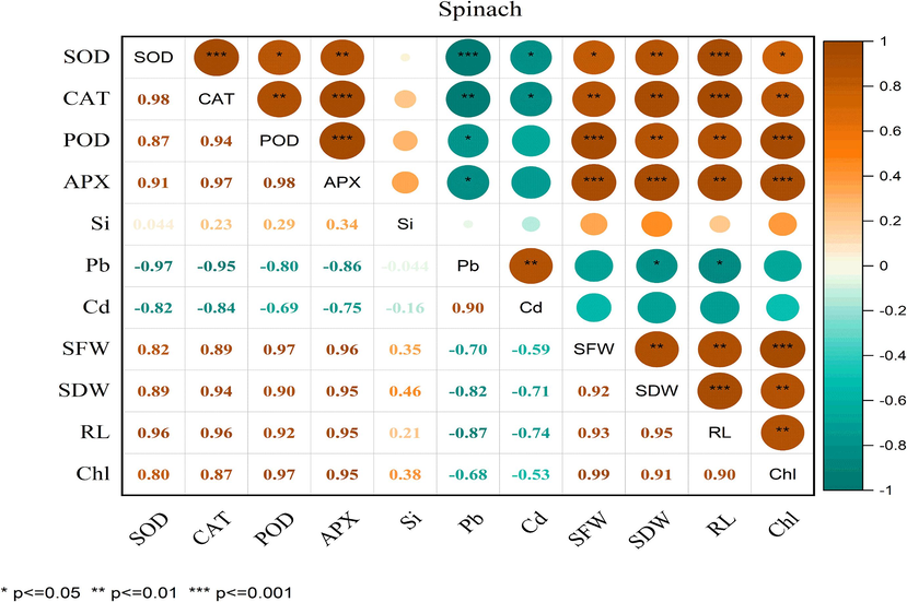 Correlation between antioxidant enzymatic activities, growth parameters and metal concentration in spinach. Superoxide dismutase (SOD), catalase (CAT) peroxidase (POD), Ascorbate peroxidase (APX), Si (silicon), Pb (lead), Cd (cadmium), SFW (shoot fresh weight), SDW (shoot dry weight), RL (root length) and Chl (chlorophyll contents).