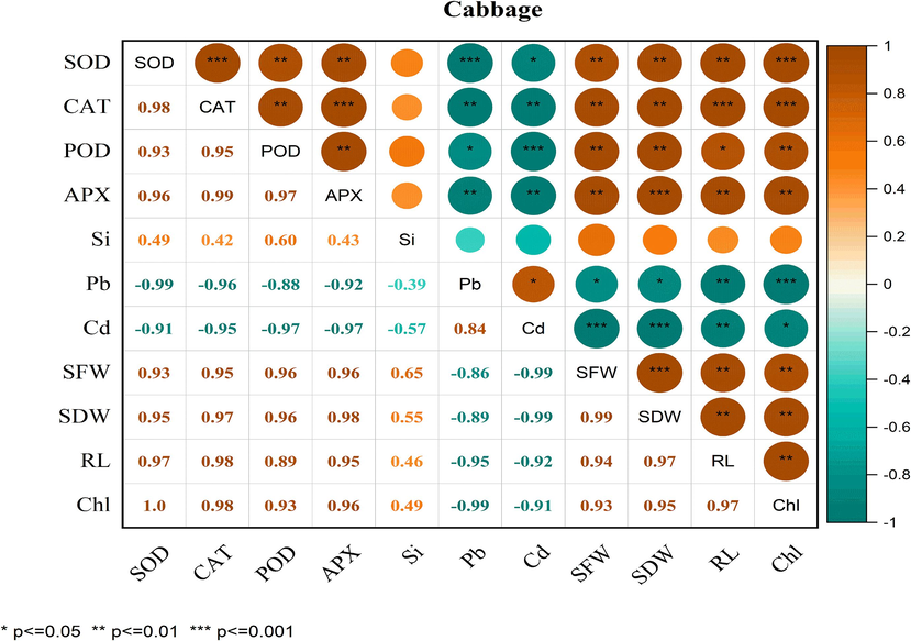 Correlation between antioxidant enzymatic activities, growth parameters and metal concentration in cabbage. Superoxide dismutase (SOD), catalase (CAT) peroxidase (POD), Ascorbate peroxidase (APX), Si (silicon), Pb (lead), Cd (cadmium), SFW (shoot fresh weight), SDW (shoot dry weight), RL (root length) and Chl (chlorophyll contents).