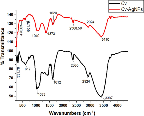 FTIR specturm analysis of Cv extract and Cv-AgNPs.