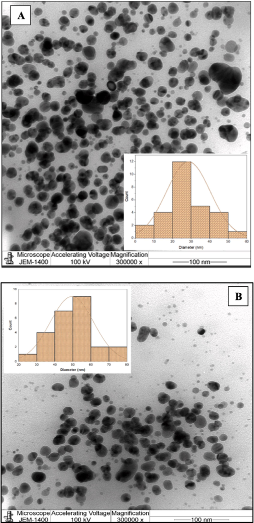 (A and B) TEM image of synthesized Cv-AgNPs, (C) distribution of elements analysis from Cv-AgNPs by EDS.