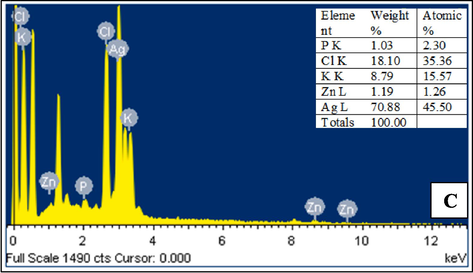 (A and B) TEM image of synthesized Cv-AgNPs, (C) distribution of elements analysis from Cv-AgNPs by EDS.