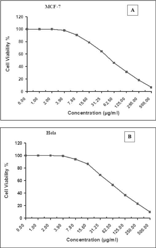 Assessing the cytotoxic effects on (A) MCF7 and(B) Hela cell lines after 24 h of exposure to various concentrations of Cv-AgNPs using the MTT assay.