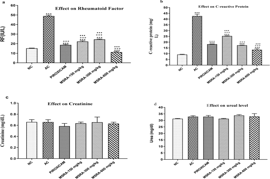 In rats with hind paw-induced arthritis, the effect of an aerial methanolic extract of Strelitzia reginae (MSRA) on C-reactive protein (CRP), rheumatoid factor (RF), and parameters measuring renal function was investigated. A one-way analysis of variance (ANOVA) and Tukey's test were used for statistical analysis. The mean ± S.D. values were calculated from a sample size of 6. Except for the normal control, arthritic control, and Piroxicam, there was a significant difference (p < 0.05) between ***, +++, and… Specifically, “NC” stands for “normal control,” “AC” for “arthritic control,” “FCA” for Freund's complete adjuvant, and “MSRA” for a methanolic extract of Strelitzia reginae aerial parts.