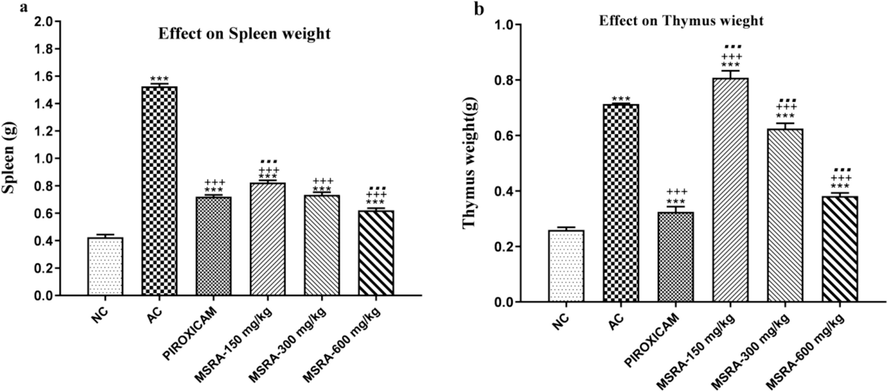 Immune system mass in arthritic rats as a function of Strelitzia reginae methanolic extract. We used one-way ANOVA and Tukey's test to evaluate the data, and we calculated the values as the mean ± S.D. (n = 6).There was a significant difference (p < 0.05) between the normal control, the arthritic control, and the group treated with piroxicam when the letters ***, +++, and… were used.Strelitzia reginae aerial parts methanolic extract (MSRA).