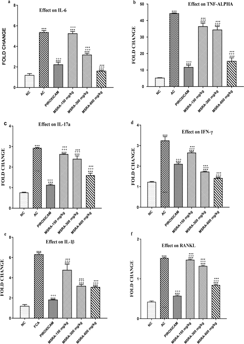 a-f Modulation of inflammatory cytokine expression in CFA-induced polyarthritic rats by a methanolic extract of Strelitzia reginae aerial parts. At 600 mg/kg, MSRA had the greatest impact in reducing the expression of IL-6, TNF-α, IL-17a, IFN- γ, IL-1β, and RANKL mRNA. In comparison to the normal control, the arthritic control, and the piroxicam-treated groups, ***, +++, and… showed significant differences, respectively. The data are analysed using one-way ANOVA followed by Tukey's test, and the results are shown as the mean ± S.D. (n = 6). Specifically, “NC” stands for “normal control,” “AC” for “arthritic control,” and “MSRA” for “methanolic extract of aerial parts of Strelitzia reginae.”.