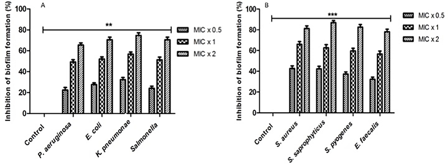 The reduction of biofilm formation by 2-((6-chloro-2-(p-tolyl)quinazolin-4-yl)thio)acetonitrile. Under biofilm growth conditions, microorganisms were incubated for 24 h with 2-((6-chloro-2-(p-tolyl)quinazolin-4-yl)thio)acetonitrile at MIC x 0.5, MIC x 1, and MIC x 2 values. All untreated bacterial isolates are represented by control bars, which represent 0 % inhibition. The results of three distinct experiments are presented with means ± SD***p < 0.0001.