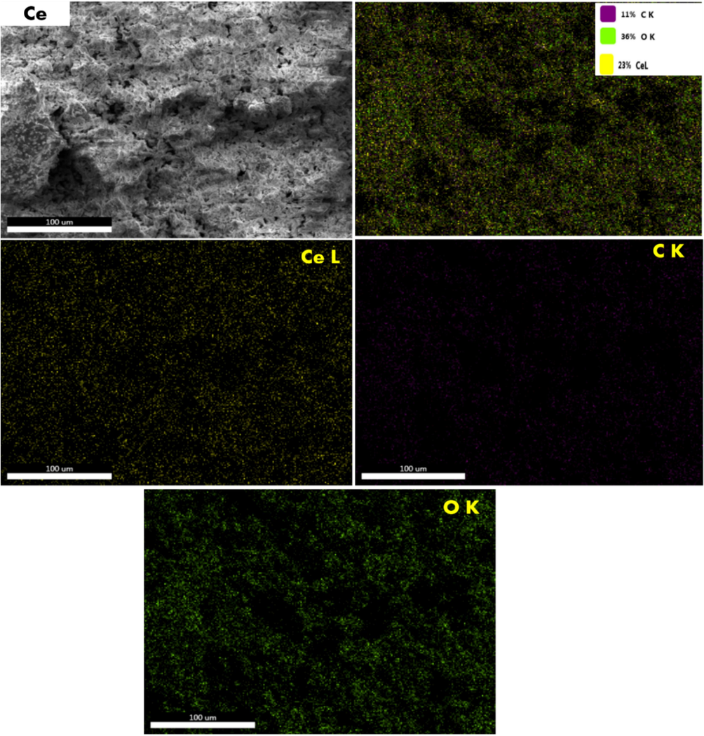 Illustrated the CeO2 NPs detection using EDX mapping method that produce utilizing a green approach by Jasminum officinale L. extract. (For interpretation of the references to colour in this figure legend, the reader is referred to the web version of this article.)