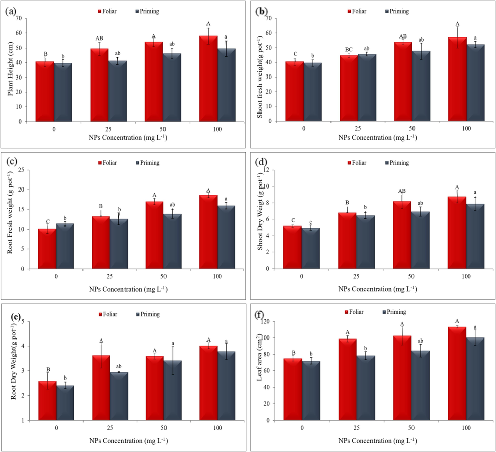 Comparison of (a) plant height, (b) shoot fresh weight, (c) root fresh weight, (d) shoot dry weight, (e) root dry weight, and (f) leaf area under two foliar and seed priming CeO2 NPs applied mode. Significance distinctions among concentration levels are denoted by diverse letters on bars, having significance threshold set at a P-value of less than 0.05.
