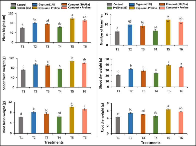 Effect of individual and combined applications of soil amendments and proline spray on the agronomic parameters of cotton plants (height, number of branches, fresh and dry weights of shoot and root) gown in the salt-affected soil.