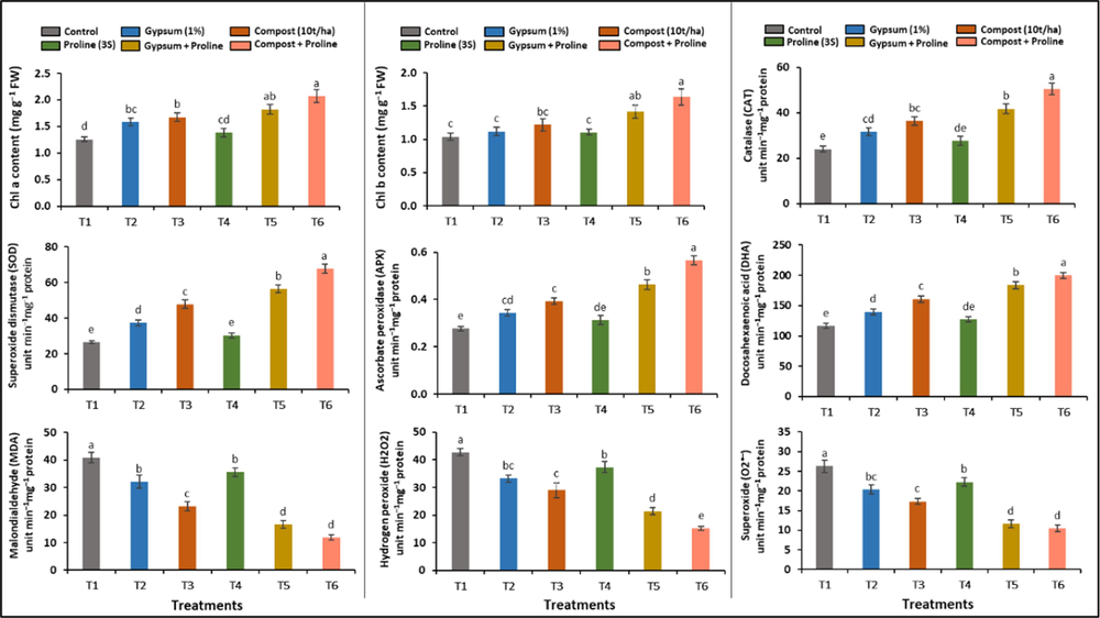 Effect of individual and combined applications of soil amendments and proline spray on the physio-biochemical attributes of cotton plants gown in the salt-affected soil.