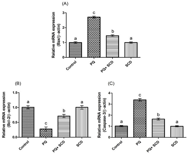 Protective effect of SCD on A) Bax, B) Bcl2, and C) Caspase-3, expressions. Bars are shown on the basis of mean ± SEM. Different superscripts on bars presenting significant variation.