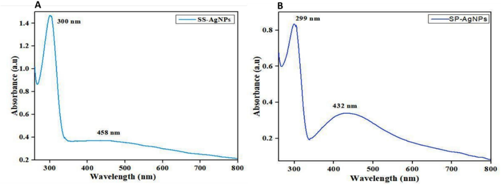 Observation of SPR absorbance peaks of (A) Ss- AgNPs and (B) Ssp.-AgNPs by UV–vis spectroscopy analysis.