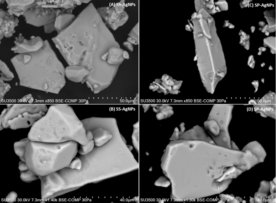 Observation of size of the particles of Ss-AgNPs (A, B), and Ssp-AgNPs, (C, D) FESEM analysis.