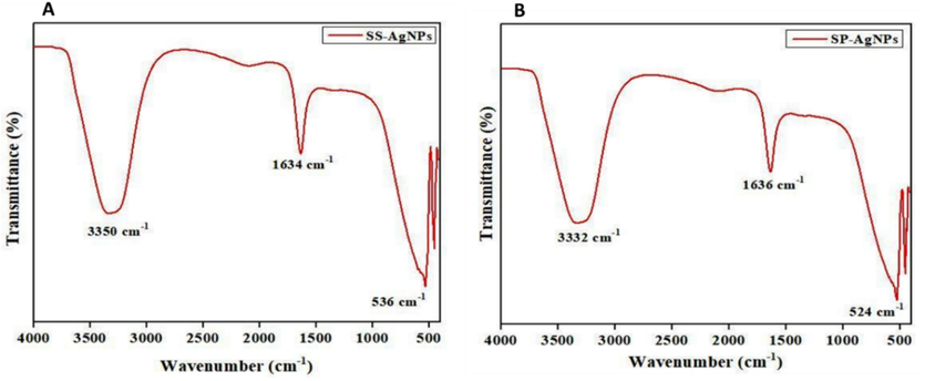 Observation of peaks of functional groups by FT-IR analysis (A) Ss-AgNPs and (B) Ssp-AgNPs.