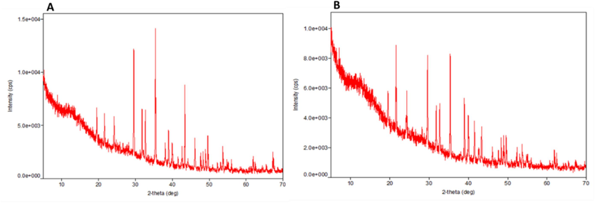 Observation of crystalline structure of (A) Ss- AgNPs and (B) Ssp- AgNPs by XRD analysis.