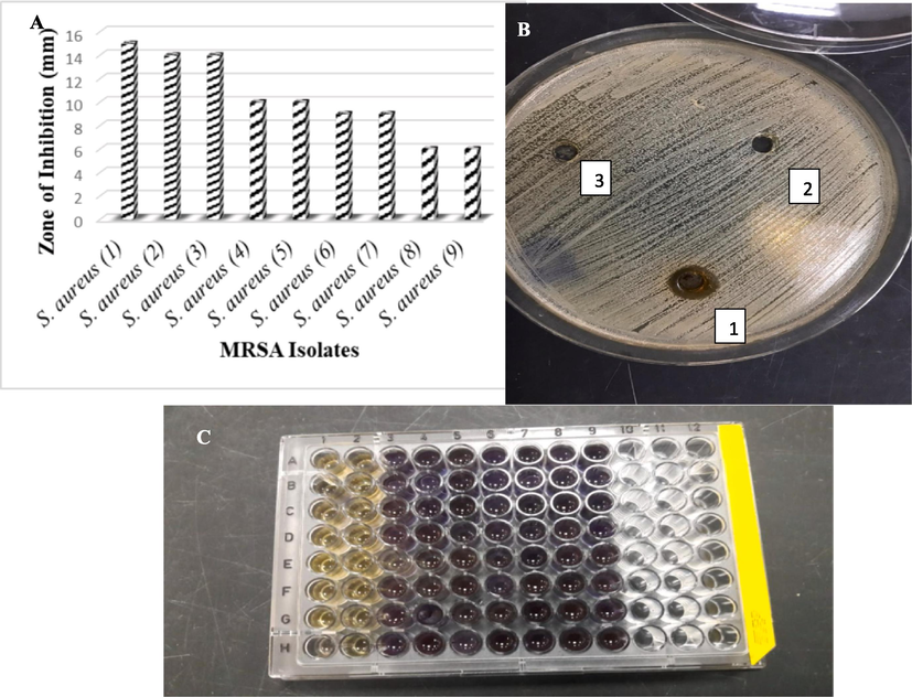 Antimicrobial activities of COINS Against MRSA Isolates (a) By using agar diffusion method, (b) Against MRSA no. 4, 1: COINs, 2: DMSO, 3: Algae water extract, (c) MIC determination with INT dye; 1:8 lanes are 512 to 2 µg COINs with MRSA, and 9 lanes are MRSA isolate as negative control.