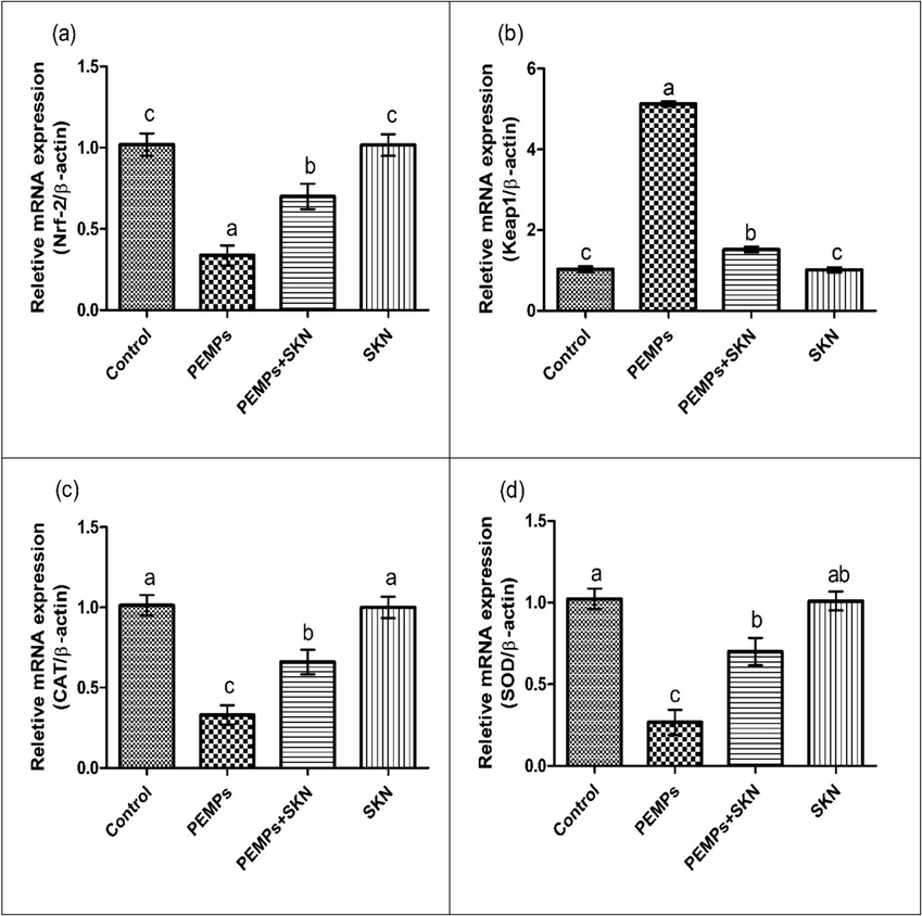 The PEMPs and SKN effect on the expression of (a) Nrf2, (b) Keap1, (c) CAT, (d) SOD, (e) GPx, (f) GSR and (g) HO-1. Data were shown as Mean ± SEM. Dissimilar letters on graph bars denoting substantial distinctions at P < 0.05.