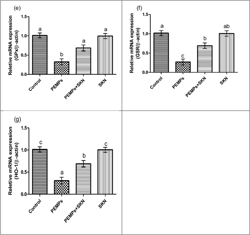 The PEMPs and SKN effect on the expression of (a) Nrf2, (b) Keap1, (c) CAT, (d) SOD, (e) GPx, (f) GSR and (g) HO-1. Data were shown as Mean ± SEM. Dissimilar letters on graph bars denoting substantial distinctions at P < 0.05.