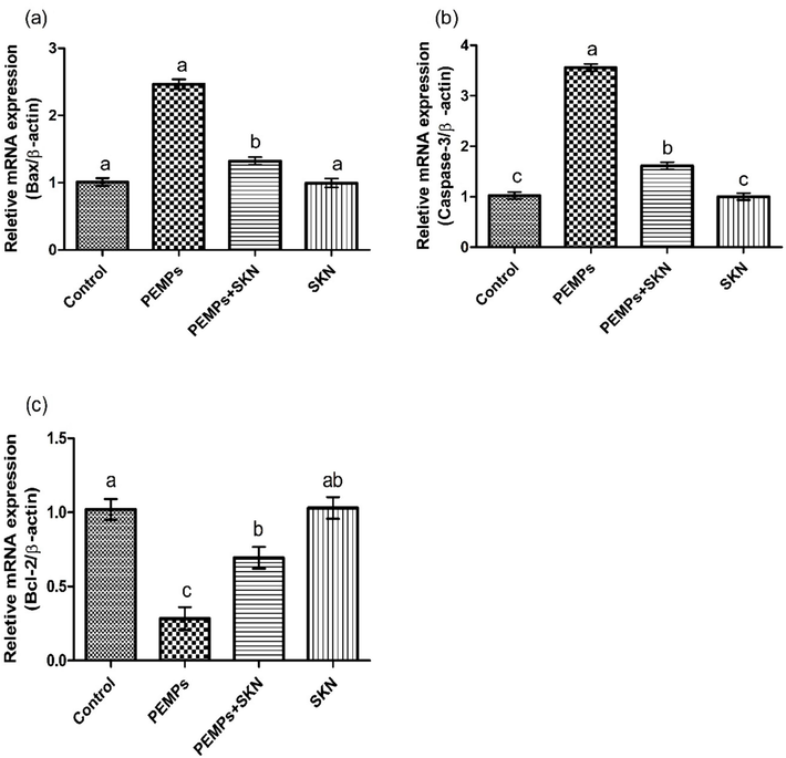 The PEMPs and SKN effect on (a) Bax, (b) caspase-3 and (c) Bcl-2. Dissimilar letters on graph bars denoting substantial distinctions at P < 0.05.