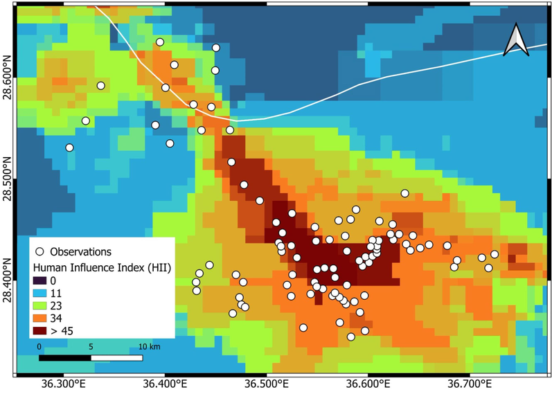 Human influence index (HII) in the study area. Dark red pixels indicate a high HII value. The HII value is lower toward the peripheral urban areas of Tabuk City.