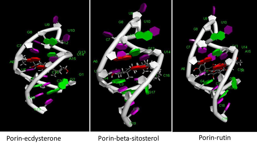 A &Fig. 1b: Interaction of ecdysterone, beta-sitosterol and rutin with porins.