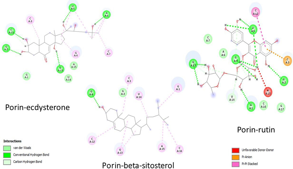 A &Fig. 1b: Interaction of ecdysterone, beta-sitosterol and rutin with porins.