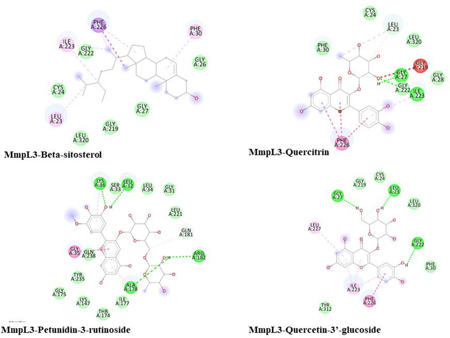 Interaction of beta-sitosterol, Petunidin-3-rutinoside, quercitrin and Quercetin-3′-glucoside with Mmpl3.