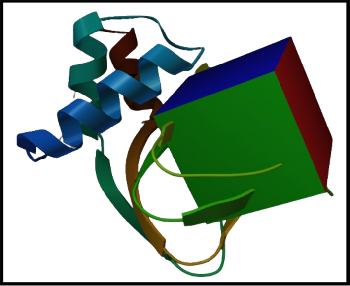 The representation of grid box around the binding pocket of PRKG1.