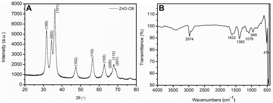 (A) XRD pattern and (B) FTIR spectrum of the synthesized ZnO-CB NPs.