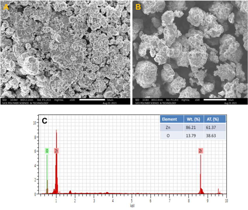 (A) and (B) SEM micrographs of the fabricated ZnO-CB NPs. at different magnifications and (C) EDAX spectra of the prepared ZnO-CB NPs.