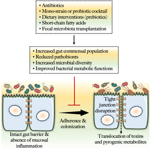 Microbiome-centered prophylactic strategies against C. diff. infection.