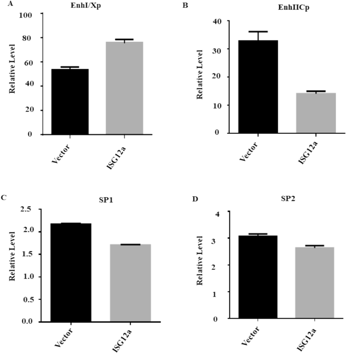 ISG12a attenuating activity of the EnhII/Cp promoter: (A-D) Huh7 cells were transfected with 200 ng of each reporter plasmid together with 250 ng of the ISG12a expression plasmid, or pCAGGS, and Luciferase activity was then measured, and the transfection efficiency was checked using 50 ng of pRL-TK.