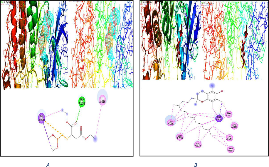 2D & 3D plot interaction of malathion (4A) and plot interaction of vitamin E WGO (4B) with liver rat protein (PDB code: 4xuf) receptor.