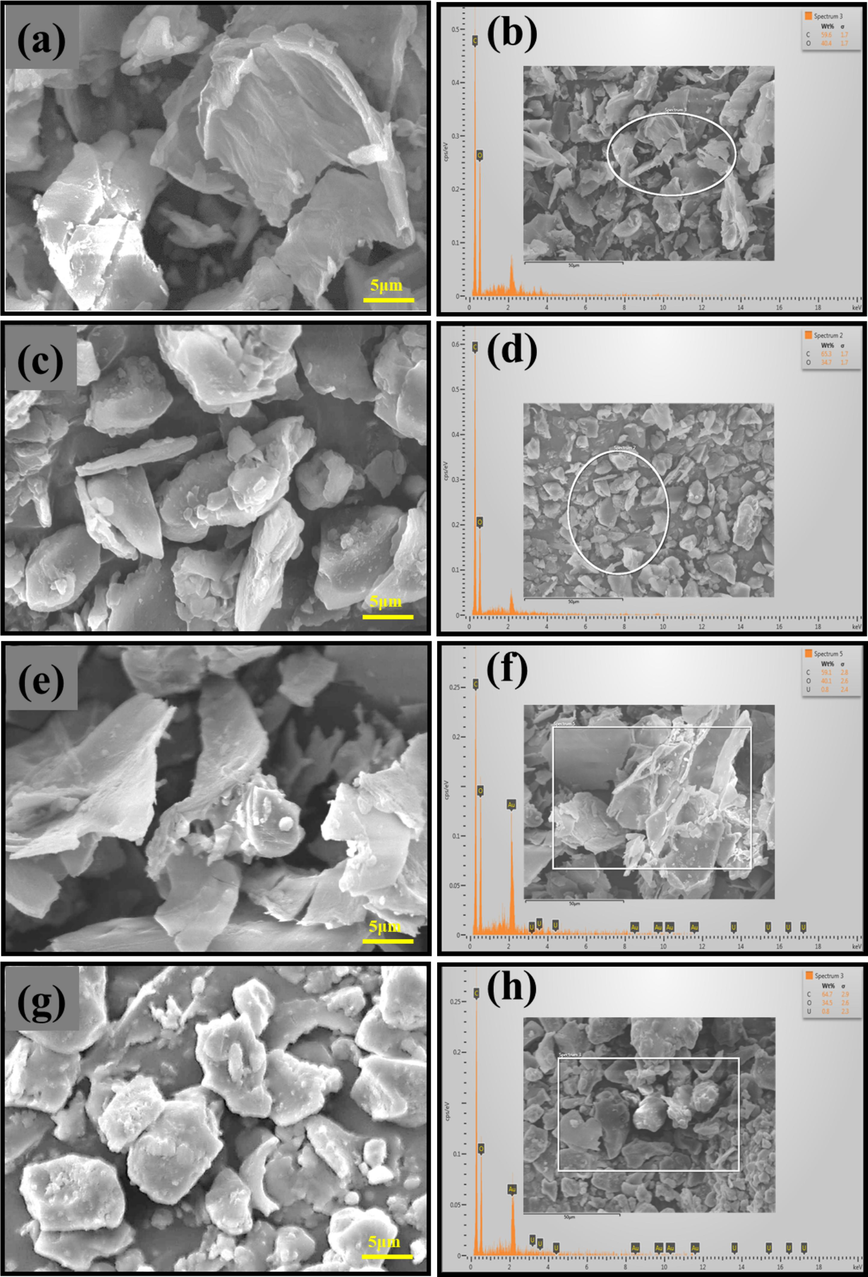 SEM and EDX of biosorbents before and after adsorption of U(VI): (a) PDB, (b) U-loaded PDB, (c) DPS, (d) U-loaded DPS.