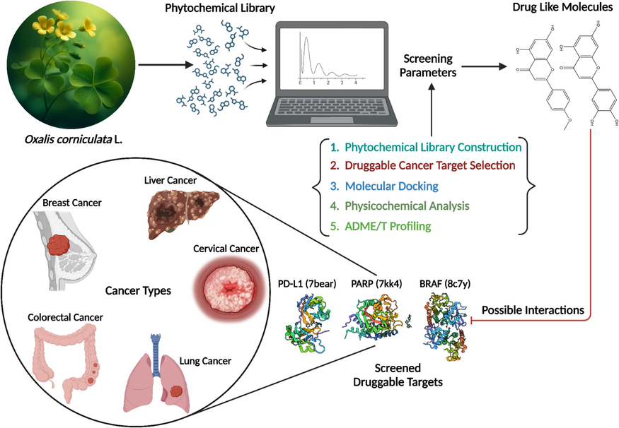 Schematic illustration of steps involved in the computational screening of phytoconstituents against druggable targets of various cancer types.