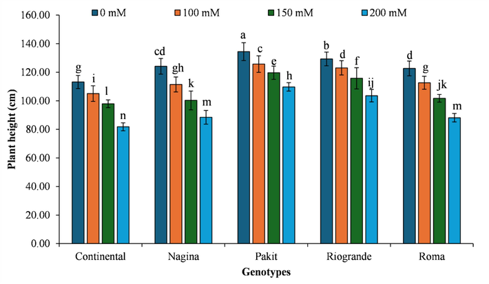 The impact of genotypes by salinity levels interaction on plant height of different tomato genotypes included in the study. The column indicates the means, whereas the error bars present standard errors of the means (n = 4). The means with different letters are statistically different from each other (LSD=2.22).