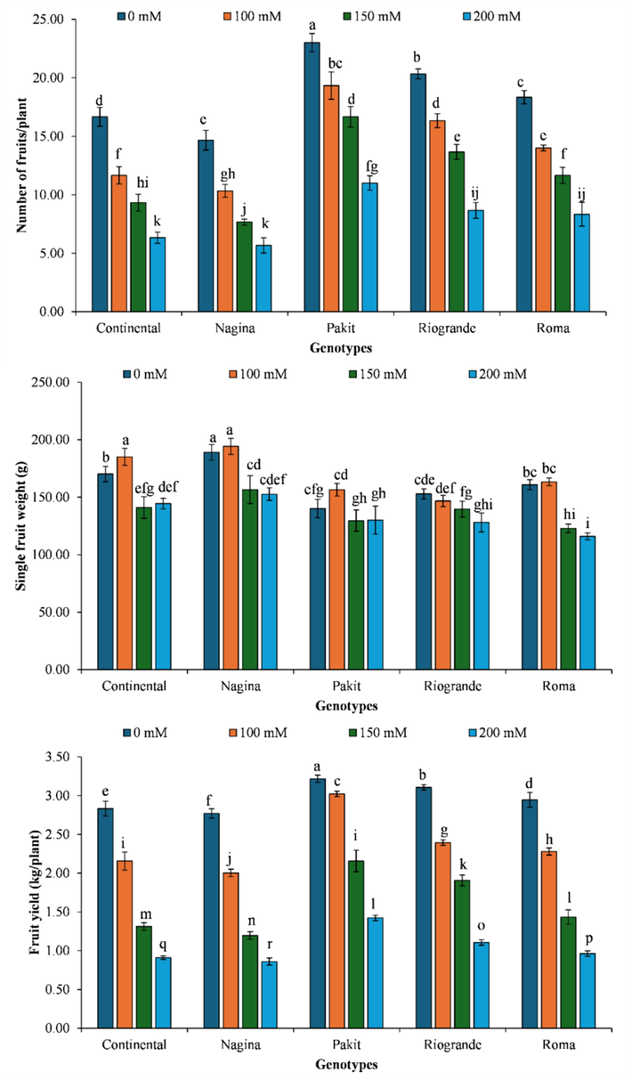 The impact of genotypes by salinity levels interaction on number of fruits per plant, single fruit weight and fruit yield per plant of different tomato genotypes included in the study. The column indicates the means, whereas the error bars present standard errors of the means (n = 4). The means with different letters are statistically different from each other (LSD for number of fruits per plant = 1.08, LSD for single fruit weight = 0.013, LSD for fruit yield = 0.048).