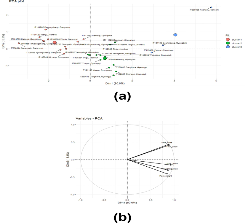 Result of PCA analysis with data set with 27 varieties with five traits (height, number of total, main, side nodes, and flowering date). (a) PCA plot with each sample and cluster. The big dot in the figure means the cluster region. (b) PCA plat with variable ar-rows.