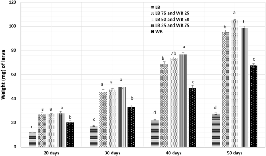 Individual weight (mg) of Tenebrio molitor larvae fed for sixty days with wheat bran (control) (LB 0 WB 100) and bran fortified with different rates of Leftover bread waste (LB 100 WB 0), LB 50 WB 50 and LB 25 WB 75 (n = 5). Statistically significant differences (P<0.05) are denoted with different letters. WB=wheat bran, LB=Leftover bread.