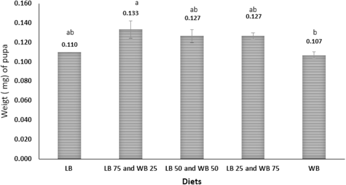 Pupal final weight of T. molitor fed on different ratios of WB (wheat bran) and LB (leftover bread) diets under laboratory conditions. Statistically significant differences (F=4.69P≤0.05) are denoted with different letters.