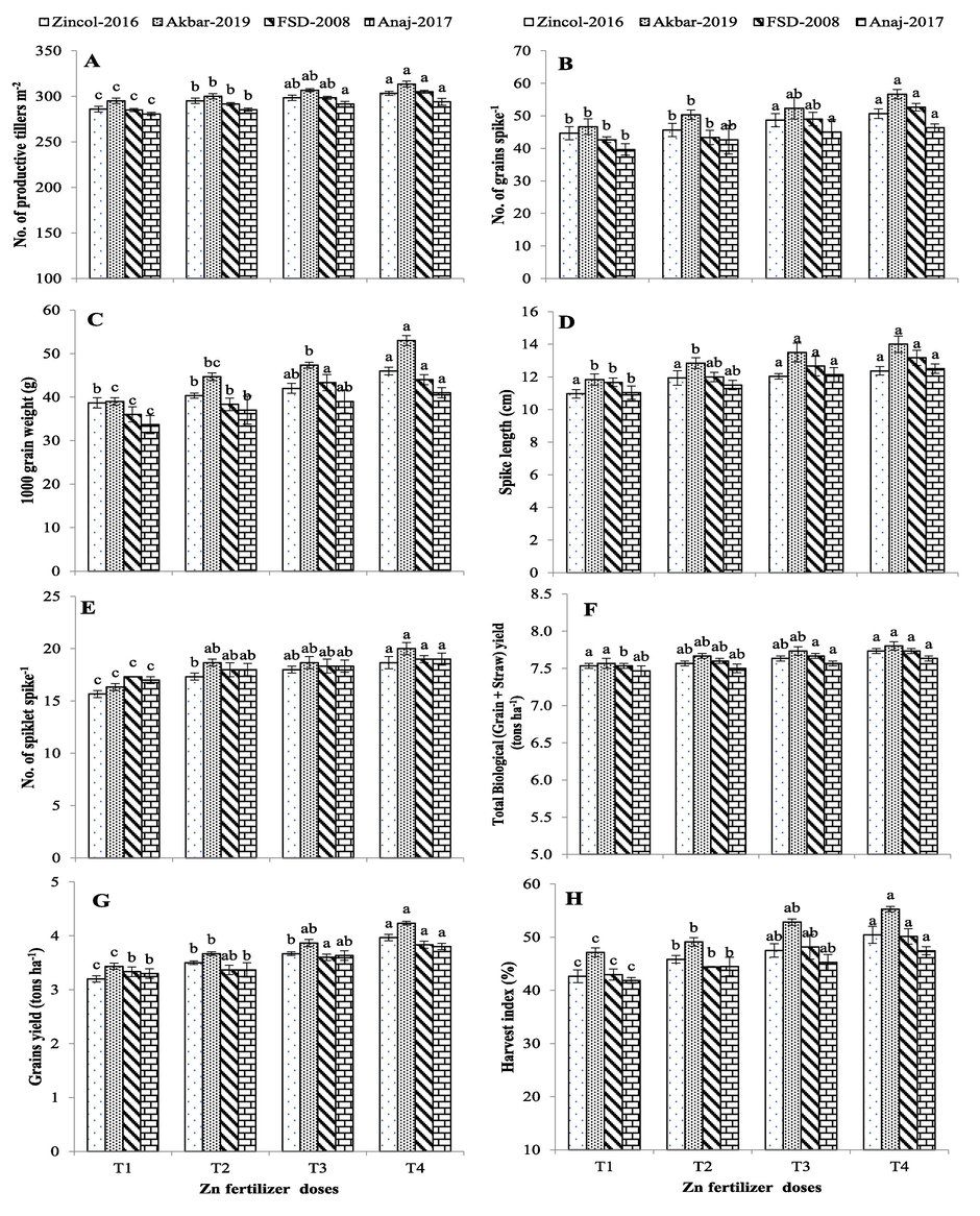 (A) No. of productive tillers; (B) no. of grains spike-1; (c) 1000 grain weight (g); (d) spike length (cm); (E) number of spikelets spike-1; (F) total biological yield (grain + straw) tons ha−1, (G) grain yield (tons ha−1 and (H) harvest index (%) of wheat cultivars fertigated with Zn fertilizer. Different letters (a-c) on bars represent significant difference among treatments at p < 0.05 (DMRT).