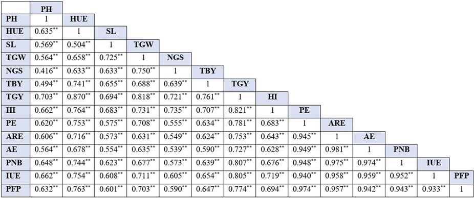 Pearson correlation analysis of different parameters of four wheat cultivars reveals the effect of Zn fertilization. PH: plant height; HUE: heat unit efficiency: SL: spike length; TGW: 1000 grain weight; NGS: number of grains per spike; TBY: total biological yield; HI: harvest index; PE: physiological efficiency; ARE: apparent recovery efficiency; AE: agronomic efficiency; PNB: partial nutrient budget; IUE: internal use efficiency; PFP: partial factor productivity.