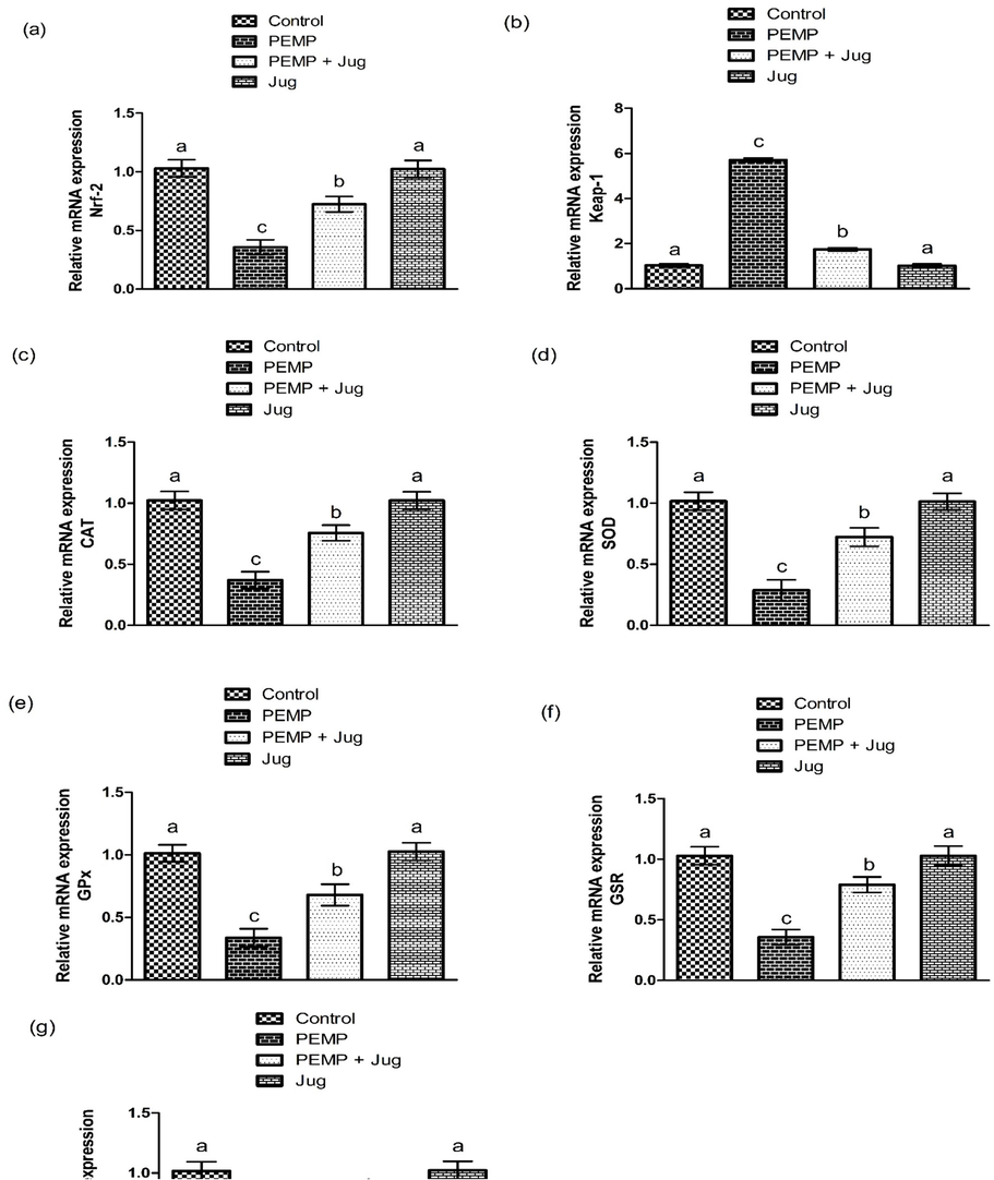 Effect of PEMP and Jug on the expression of Nrf-2 and Keap-1. Bars are are shown on the basis of Mean ± SEM. Bars with different superscripts are significantly (P<0.05) different from others.