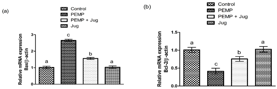 Effect of PEMP and Jug on the expression of Bax, Bcl-2 and Caspase-3. Bars are are shown on the basis of Mean ± SEM. Bars with different superscripts are significantly (P<0.05) different from others.