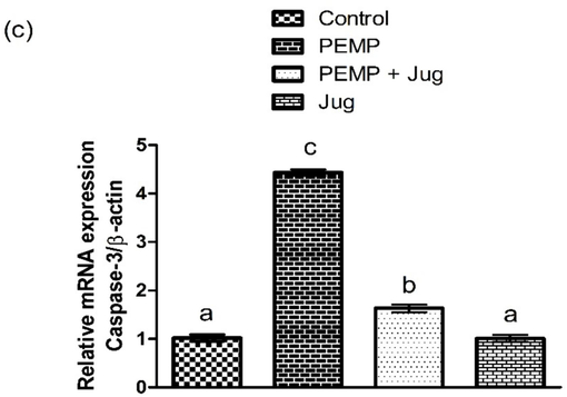 Effect of PEMP and Jug on the expression of Bax, Bcl-2 and Caspase-3. Bars are are shown on the basis of Mean ± SEM. Bars with different superscripts are significantly (P<0.05) different from others.