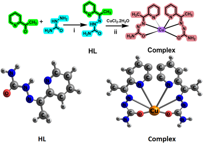 Synthesis of acetyl-bis(4-methyl-3-semicarbazone) (APSC) ligand (HL) and Cu-biacetyl-bis(4-methyl-3-semicarbazone) (Cu-[APSC]2) complex (CuL).